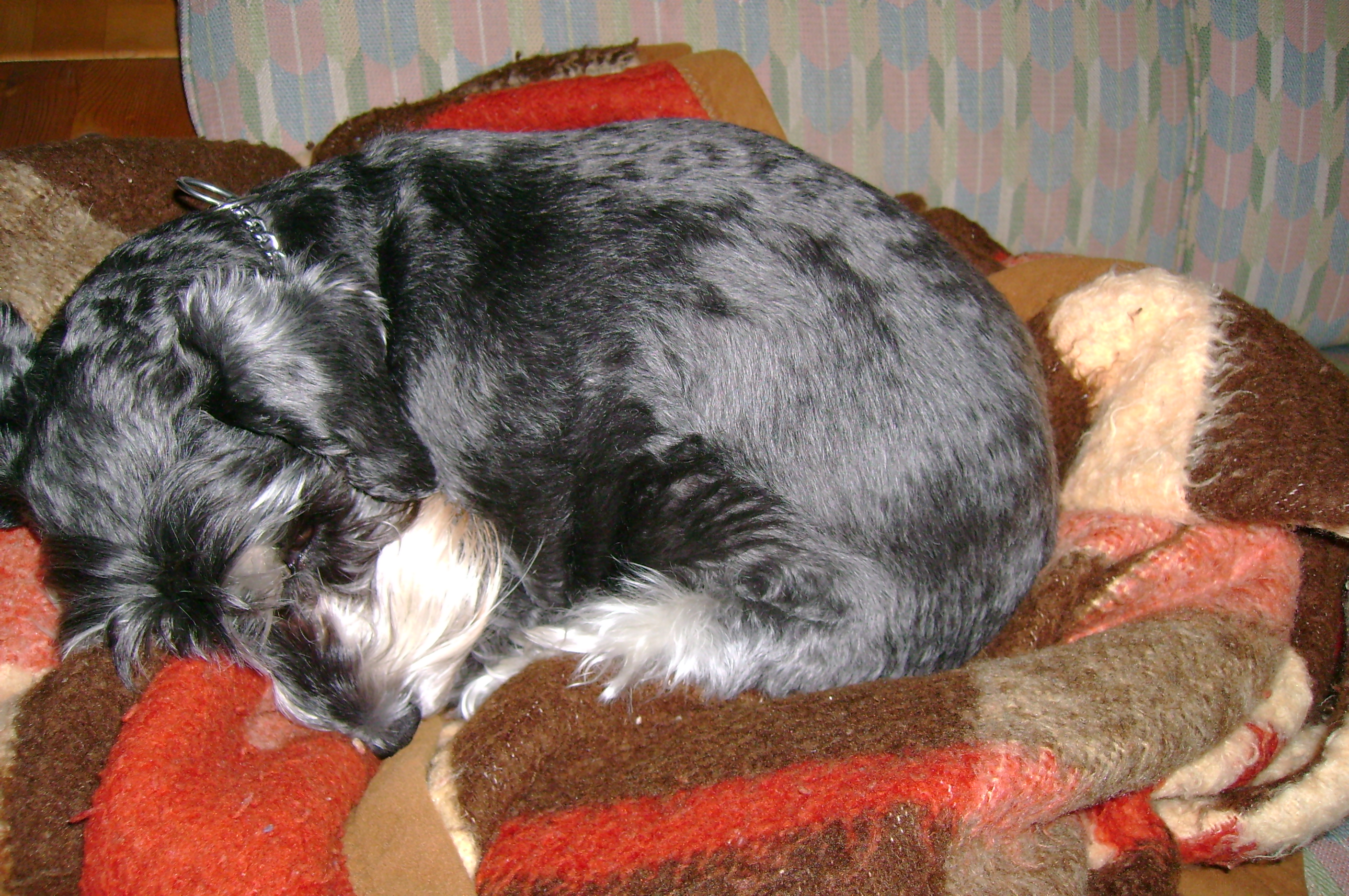 Snímek 001.jpg